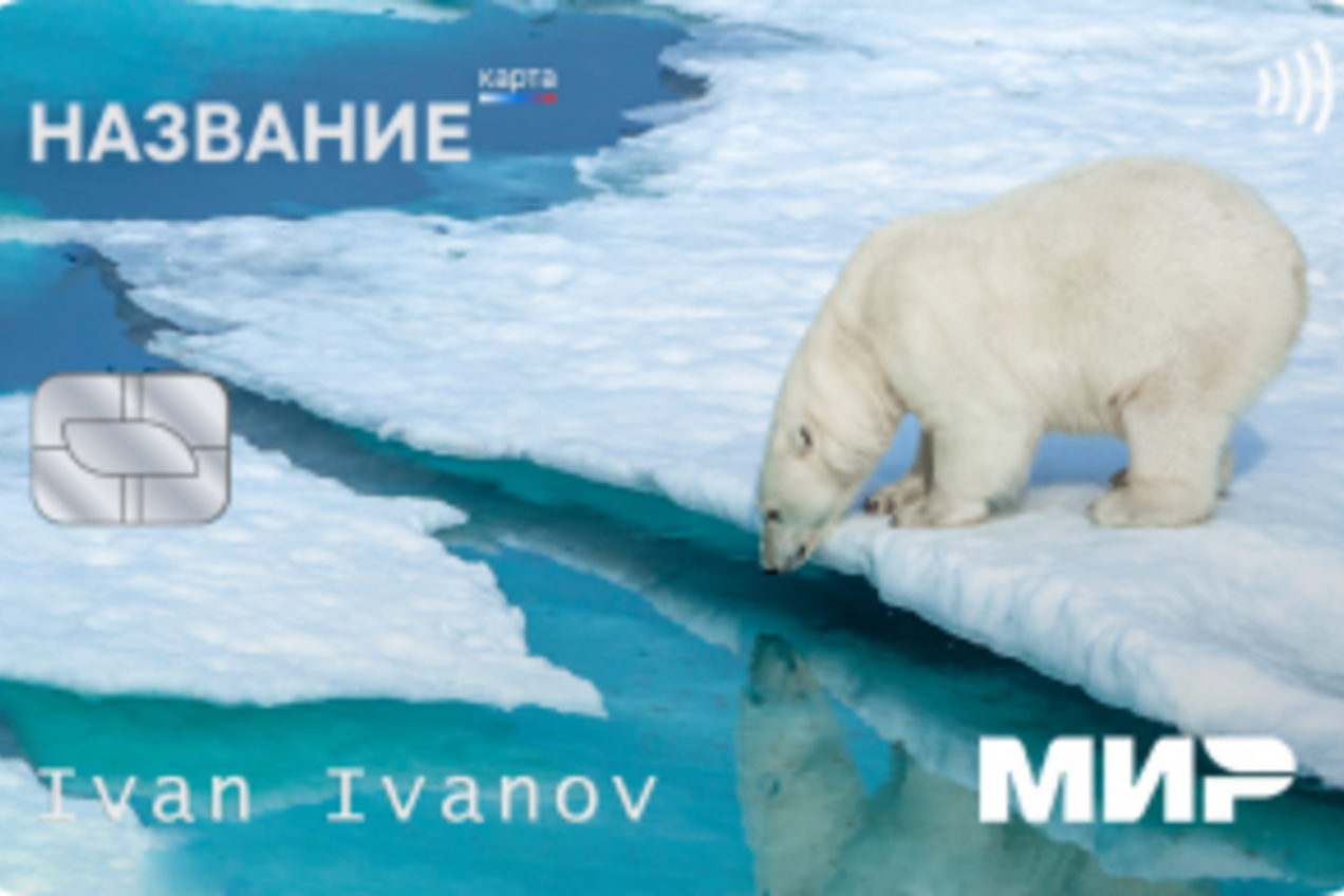 Универсальную электронную карту создадут для жителей Чукотки