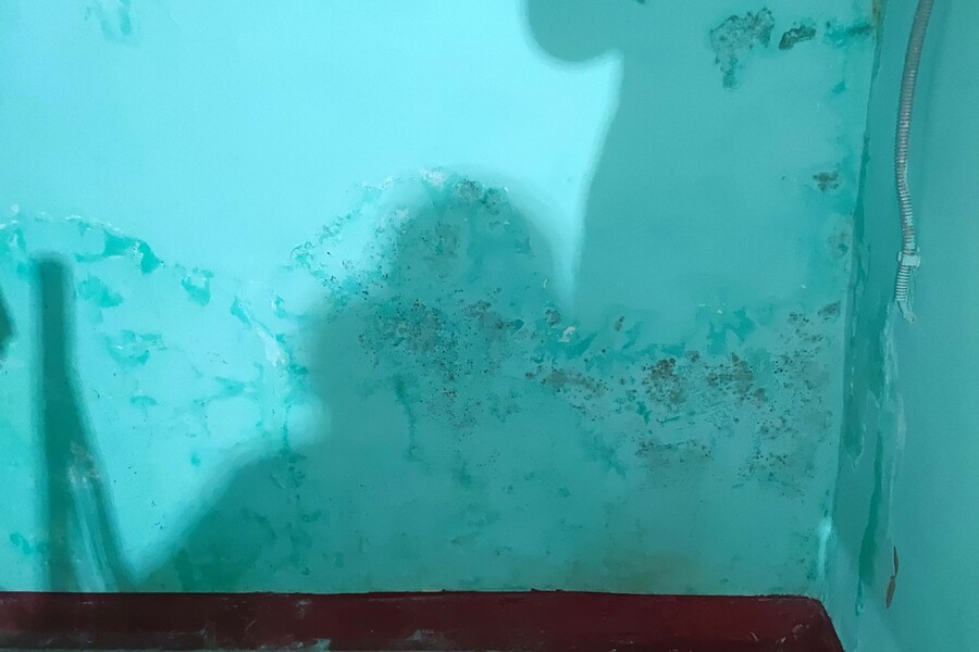 Img 20221229 083520
