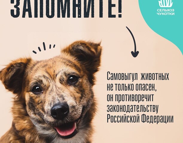 📢 Внимание, жители Чукотки!