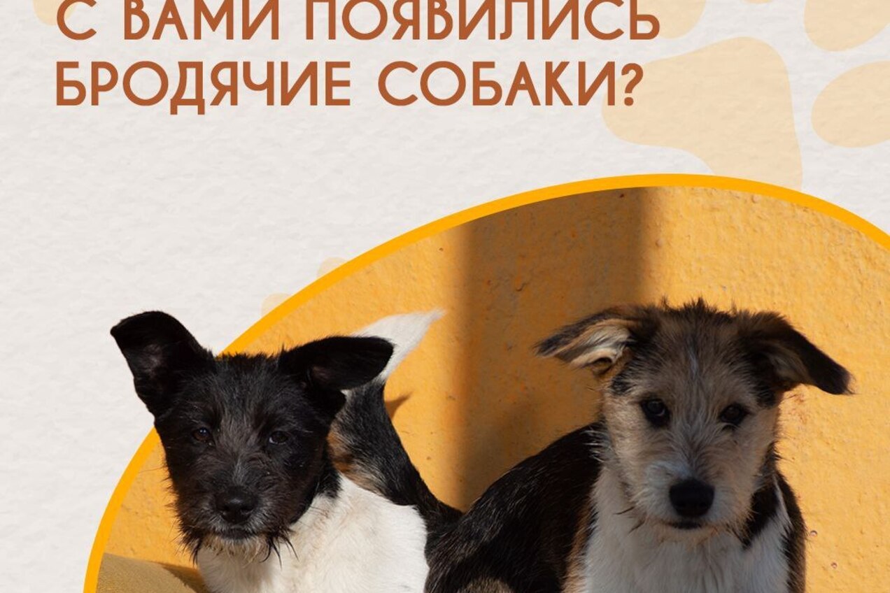 📢 Внимание, жители Чукотки!