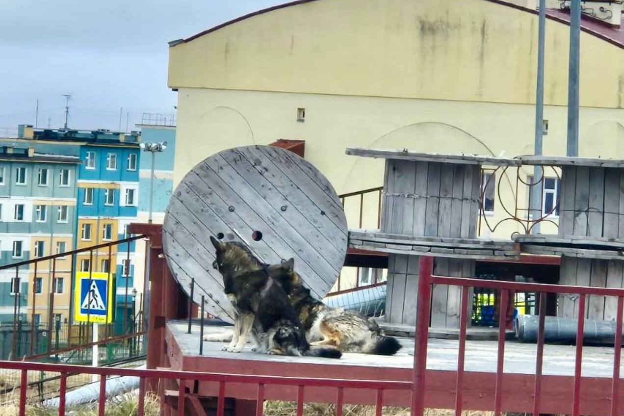 Уважаемые горожане!