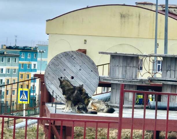 Уважаемые горожане!