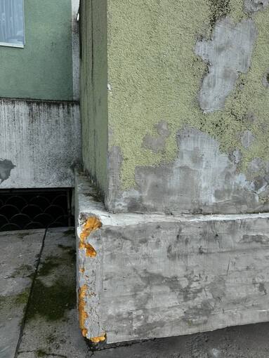 Photo 21 2025 07 31 15 35 44
