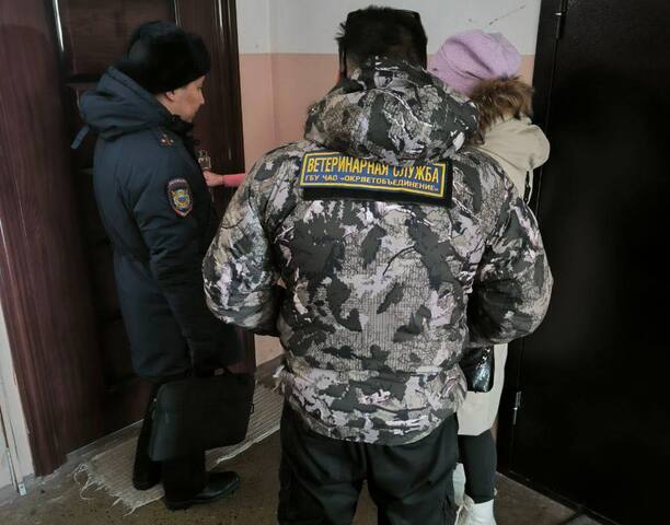 Соблюдение правил выгула домашних животных.