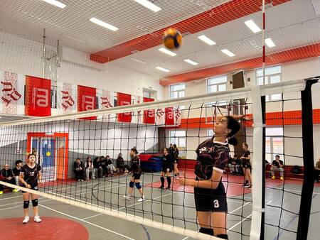 Photo 1 2025 11 10 16 15 50 Photo 1 2025 11 10 16 15 50