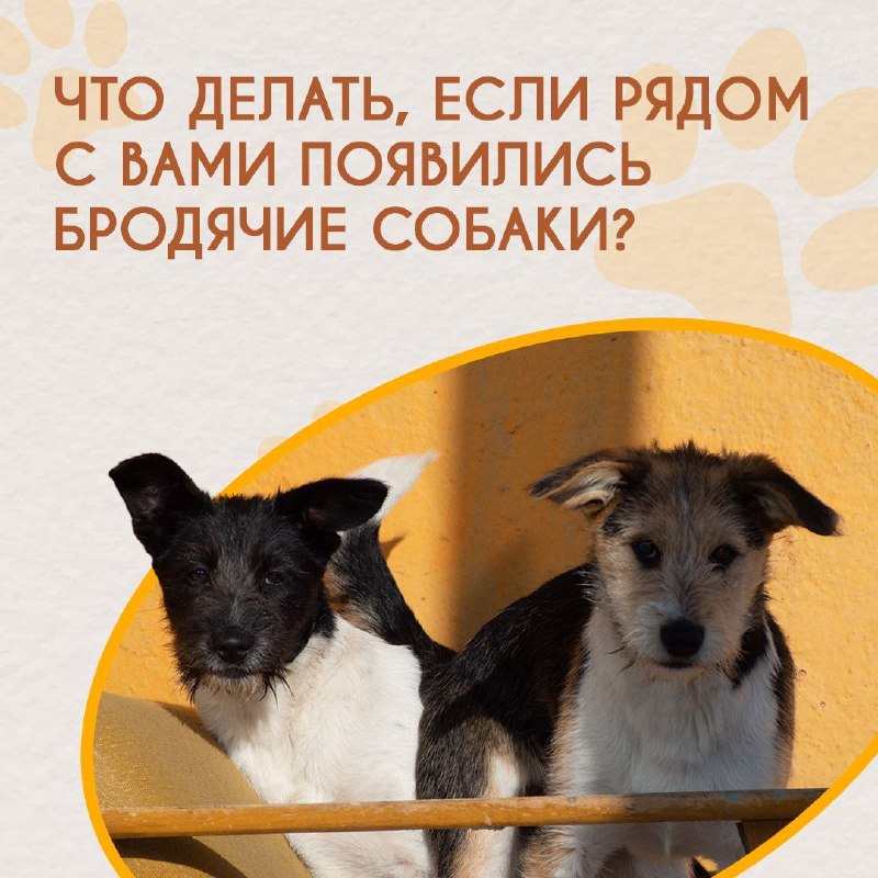 📢 Внимание, жители Чукотки!

В целях обеспечени...