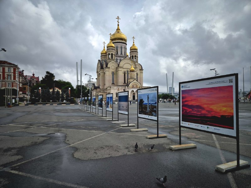 📷 Фотовыставка Всероссийского конкурса «Дальний...